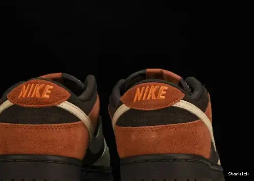 Nike Panda Low Dunk FV0305-200  Red 0706